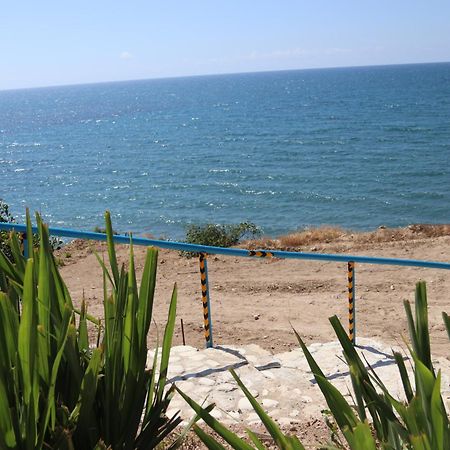 Summer Dream Cyprus Maroni Exteriér fotografie